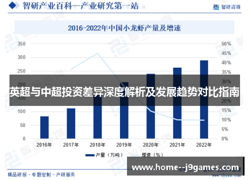英超与中超投资差异深度解析及发展趋势对比指南